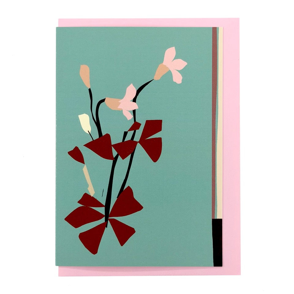 Greeting card featuring an illustrated oxalis plant on a soft turquoise background with a pink envelope.