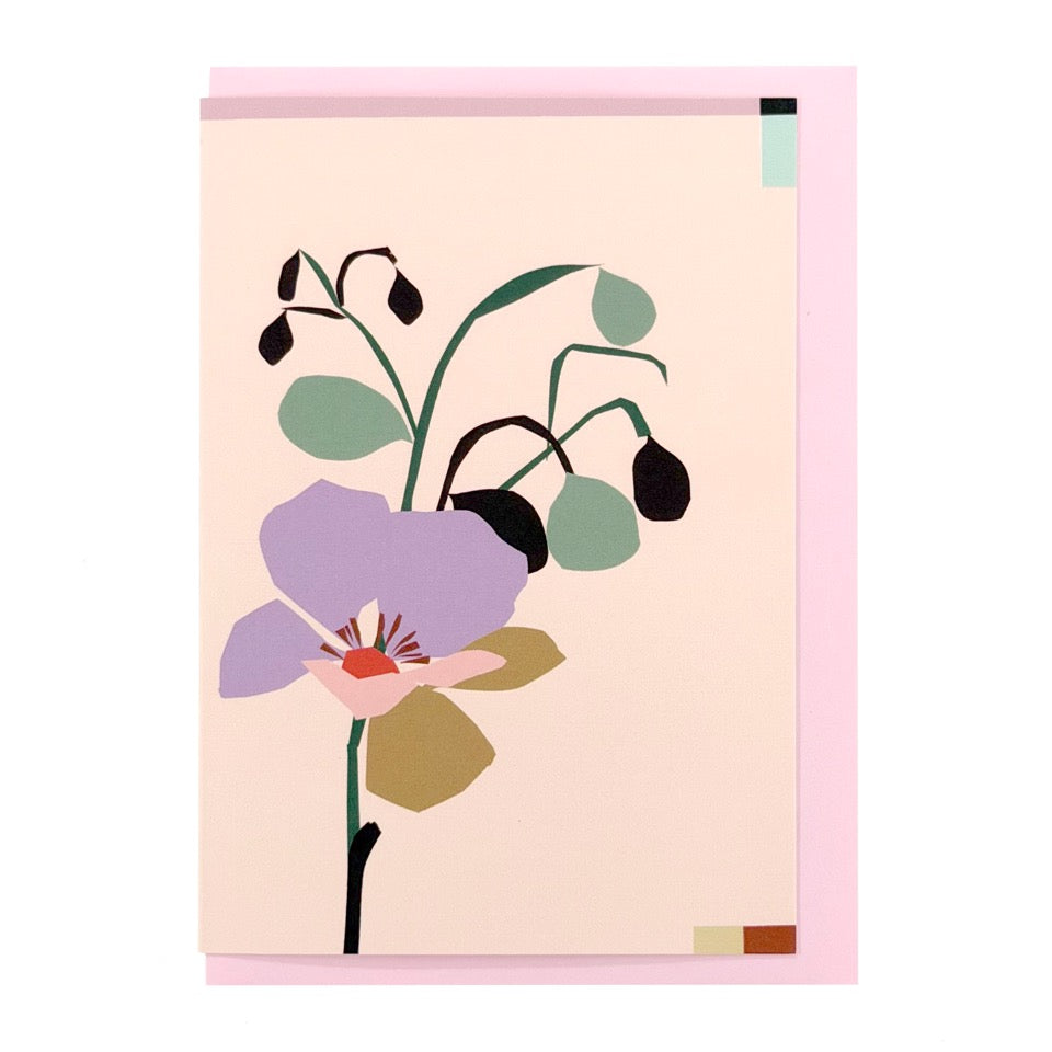 Greeting card featuring an illustrated soft bloom with buds on a pale pink background with a pink envelope.